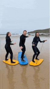 Surfing GIF - Surfing GIFs