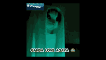Ganda Love Gamda Love GIF - Ganda Love Gamda Love Love Didi GIFs