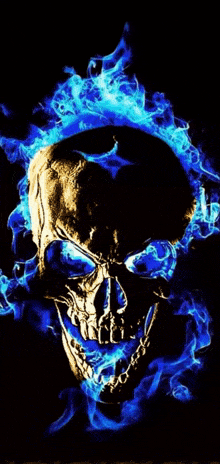 a skull is surrounded by blue flames on a dark background