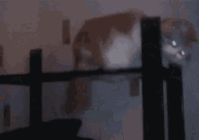 a blurry picture of a person standing on a staircase .