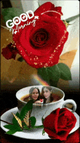 a cup of coffee next to a red rose with the words good morning written above it