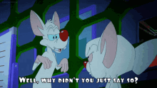 Animaniacs Pinky GIF - Animaniacs Pinky Well Why Didnt You Just Say So GIFs