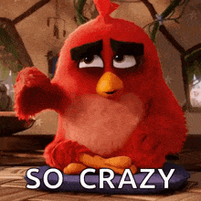 a red angry bird from the movie the angry birds is sitting on a blue pillow and saying so crazy .