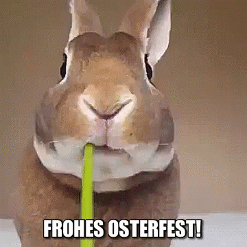 Frohes Osterfest! GIF - Frohes Osterfest Ostern Osterhase - Discover &  Share GIFs