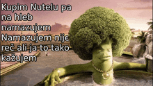 a picture of a broccoli with the words kupim nutelu pa on the top