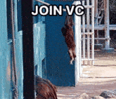 Join Vc Voice Chat GIF