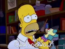 Homer Simpson The Simpsons GIF - Homer Simpson The Simpsons Can I Go Now GIFs