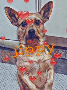 Dog Hearts GIF - Dog Hearts Jippy GIFs
