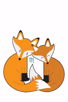 fox and tea love