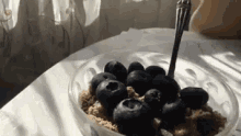 a bowl of blueberries and granola on a table