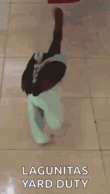 Chicken In Pants Cool GIF