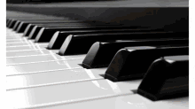 Learn Piano Learn To Play Piano For Adults GIF - Learn Piano Learn To Play Piano For Adults GIFs