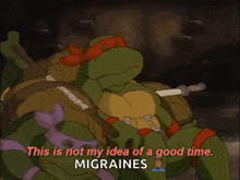 Tmnt Raphael GIF - Tmnt Raphael This Is Not My Idea Of A Good Time GIFs