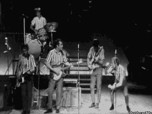 The Beach Boys Band GIF - The Beach Boys Band Perform GIFs
