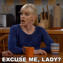 Excuse Me Lady Christy GIF - Excuse Me Lady Christy Anna Faris GIFs