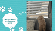 Lonely Puppy GIF - Lonely Puppy GIFs