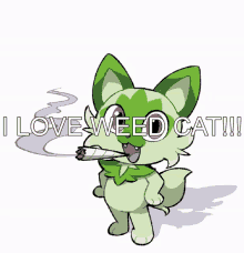 Weed Cat I Love Weed GIF - Weed Cat I Love Weed Weed GIFs