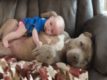 Baby And Dog Cute GIF
