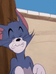 Tom Tom And Jerry GIF - Tom Tom And Jerry GIFs