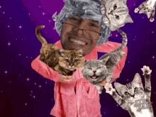 Crazycatlady GIF - Crazycatlady Catlady Cat GIFs