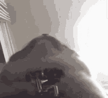a close up of a person 's back with a gun in it .