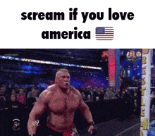 Scream If You Love America Scream If You Love Usa GIF
