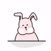 adorable rabbit