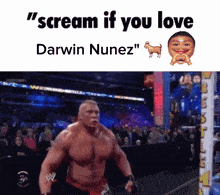 Darwin Nunez Darwizzy GIF