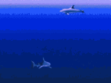 Vaporwave Dolphins GIF - Vaporwave Dolphins Swimming GIFs