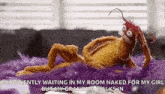 Pepe Muppets GIF