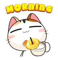 a cartoon cat drinking a cup of coffee and eating a donut with the word morning above it