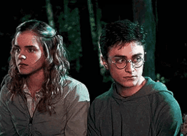 harry potter and hermione granger