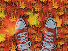 Fall Automne GIF - Fall Automne Autumn GIFs