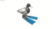 Pato Duck GIF