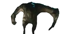 a close up of a dinosaur 's back with its arms outstretched