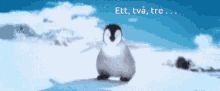 Skating Penguin Penguin GIF