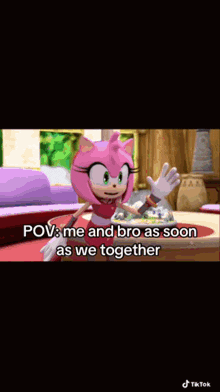 amy rose from the video game sonic the hedgehog says " pov : me and bro as soon as we together " .