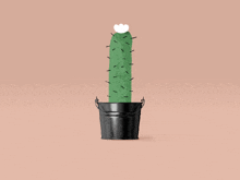 a cactus in a black bucket with a white heart on top of it