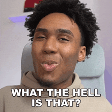 What The Hell Is That Rumi Robinson GIF - What The Hell Is That Rumi Robinson Imurgency GIFs