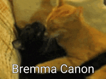 Bremma GIF - Bremma GIFs
