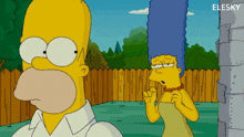 Elesky Homer GIF - Elesky Homer Platillos GIFs