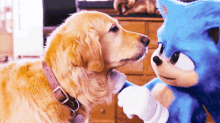 Sonic Dog GIF - Sonic Dog Licking GIFs