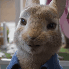 What Peter Rabbit GIF - What Peter Rabbit Peter Rabbit2the Runaway GIFs
