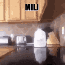 Milj Milk Punch GIF - Milj Milk Punch Milk GIFs
