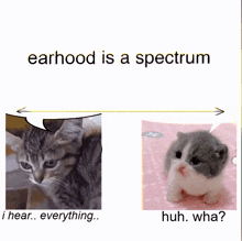 a picture of a cat and a picture of a kitten with the words " earhood is a spectrum "