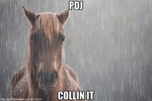 a horse standing in the rain with the words pdj collin it below it