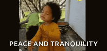 a little girl is dancing with her eyes closed and the words `` peace and tranquility '' above her .