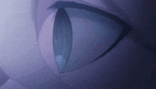 a close up of a person 's eye with a blue iris