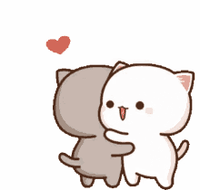 hug cat