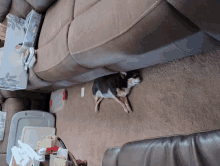 Another Lazy Day GIF